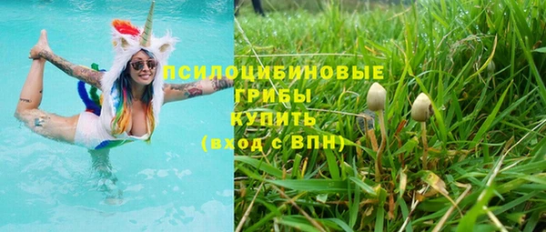 метадон Алексин