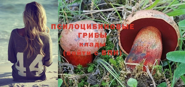 СК Абаза